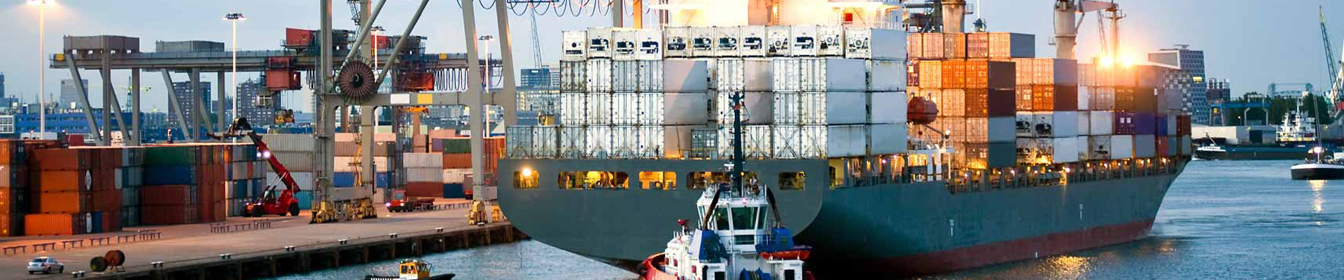 Project Cargo